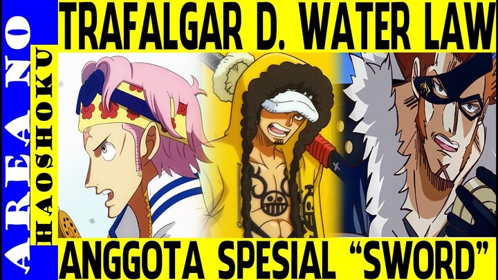 Trafalgar Law Adalah Anggota Spesial Sword , Ini Seluruh Dasarnya ( One Piece )