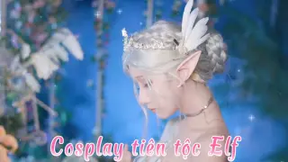 [Cosplay] Cosplay Elf