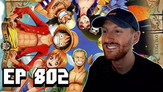 ONE PIECE EPISODE 802 REACTION | STREAM VOD