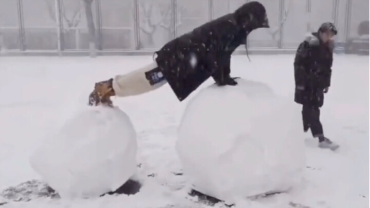 “雪 天 迷 惑 行 为 大 赏”