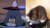 Như chúng ta đã biết, Tom và Jerry là một bộ phim tài liệu