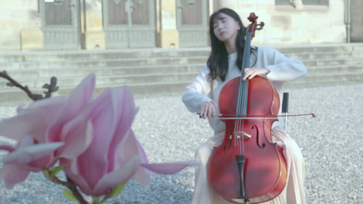 Cover cello "Con phố gió thổi qua"