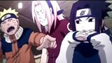 TEAM 7 EDIT