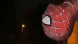 Spiderman in the Multi-Verse of Madness