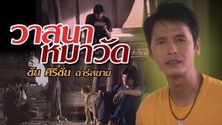 วาสนาหมาวัด : ชัย ศิริชัย อาร์สยาม [Official MV]