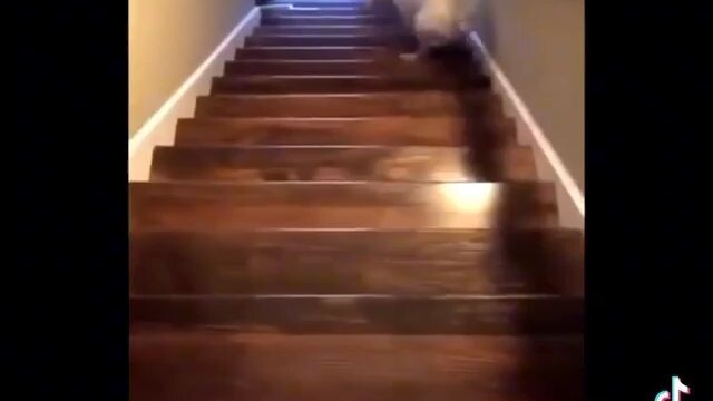 A very fun way to go down the stairs
