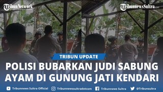 Viral Video Polisi Bubarkan Judi Sabung Ayam di Gunung Jati Kendari, Warga Minta Dicarikan Solusi