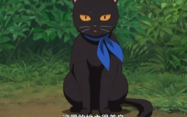 Bài viết về việc biến thành mèo này thật dễ thương, đúng như dự đoán, việc Gin-san biến thành mèo cũ