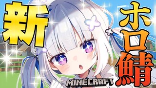 【Minecraft】新ホロ鯖ワールド解禁！！！！！【天音かなた/ホロライブ】