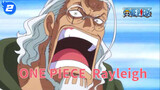 [ONE PIECE] Rayleigh - Người đàn ông trung niên cuốn hút trong truyền thuyết!_2