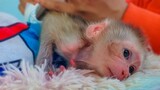 Keep Hygiene!! Cleans up diaper for tiny adorable Luca to keep him healthy