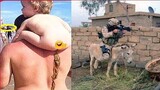 TRY NOT TO LAUGH - Best Funny Vines of The YEAR! 2021