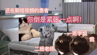 【猫meme】外科实习的惊吓瞬间