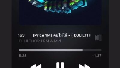 🗿