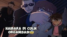 Ketika organisasi hitam mengetahui identitas sherry/Haibara 😰😱 (part 1#)