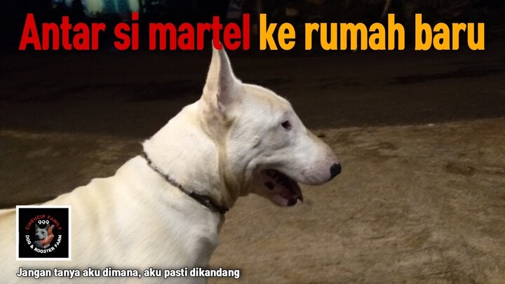 Martel pindah ke Garut