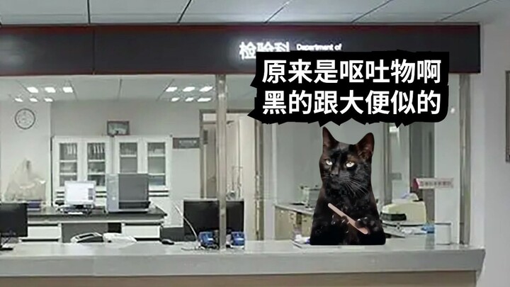 【猫meme】检验科的阴角 夜班篇