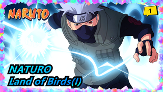 NATURO|[Kakashi]Land of Birds(I)Accepting the commission of spirit removal_1