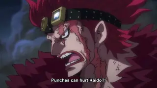 Zoro Explains Ryuo. Luffy Damage Kaido.