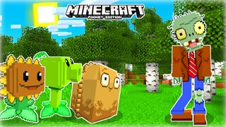 Bermain Plant Vs Zombie Tapi di MINECRAFT❗❗