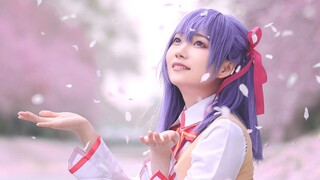 Sakura, aku harap kamu bahagia. cosplay matou sakura