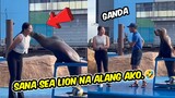 ANG SWERTE NAMAN NG SEA LION SANA ALL FUNNY MEMES FUNNIEST VIDEO COMPILATION GOODVIBES VIDEO