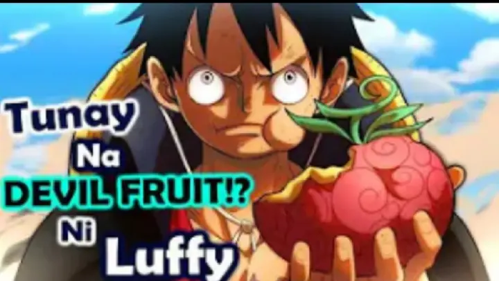 ONE PIECE:Luffy's and Joy Boy Iisa?