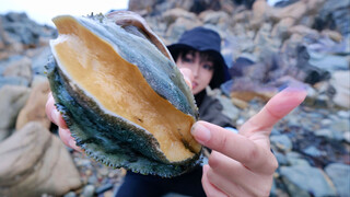 Beachcombing in France, catching and frying palm-sized abalones