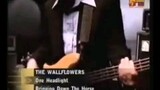 The Wallflowers - One Headlight (MTV Nonstop Hits) (by QualityRip)