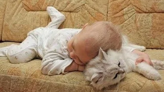 Adorable Cats and Babies Cuddling - Babies Love Cats Compilation