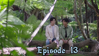 Miracle of teddy bear ep 13