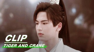 Qi Xiaoxuan Apologizes to Yan | Tiger and Crane EP33 | 虎鹤妖师录 | iQIYI