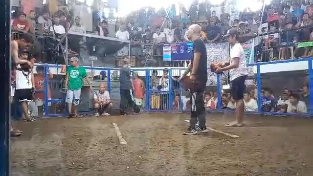 Gawang AirStriker GF