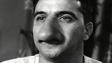 [YTP] The 1950s HomoH Life