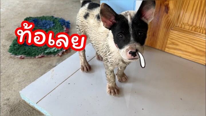 พวกเราจะรอดจากนำ้ท่วมไหมเนี่ย