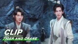 Qi Xiaoxuan Works Together | Tiger and Crane EP36 | 虎鹤妖师录 | iQIYI