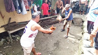 Nov 1 2024 Undas Bakbakan | talisay vs mayahin