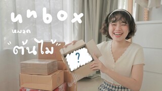 UNBOX EP.11📦 แกะกล่องหมวด 'ต้นไม้🪴' | mackcha