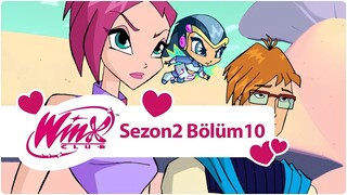 Winx Club - Sezon 2 Bölüm 10 - Kodeks'in Mahzeni