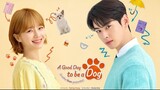 A Good Day To Be A Dog Episode 1