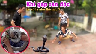 Sư Phụ @Săn Bắt Ẩm Thực Vùng Cao Thách Thức Sinh 09 Bắt Rắn Và Cái Kết Ướt Hết Quần Rồi Tha Cho Em