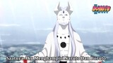 Boruto Episode Terbaru - Otsutsuki Shibai Turun Ke Bumi