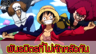 วันพีซ - พันธมิตรสุดซื่อสัตย์ที่ไม่คิดจะหักหลังกัน [KOMNA CHANNEL]