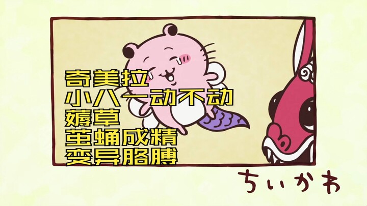 一口气看完大连话版chiikawa16-20集