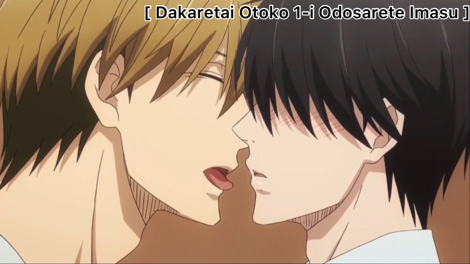 Resenha] Dakaretai Otoko 1-i ni Odosarete Imasu - Um romance entre atores!  - Portal Estante da Josy