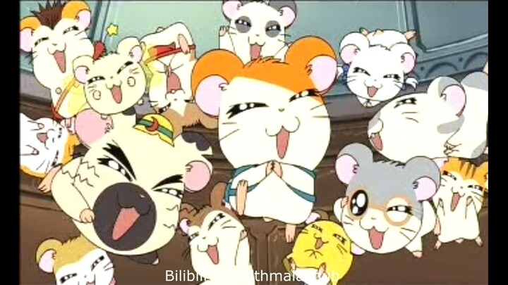 Hamtaro The Movie: Adventures in Ham-Ham Land (Malay Dub)