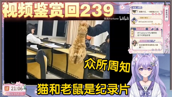【凉笙不打嗝】紫色猫猫看《“猫 和 老 鼠    诚 不 欺 我 ！”》有被可爱到