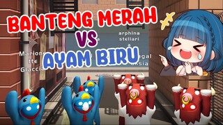 Banteng VS Ayam, Siapa yang lebih kuat?!