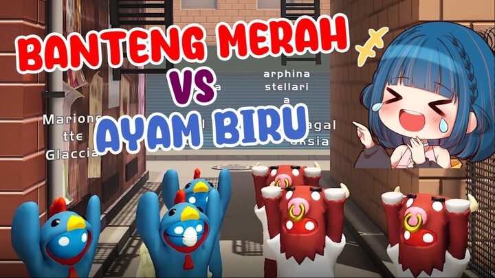 Banteng VS Ayam, Siapa yang lebih kuat?!