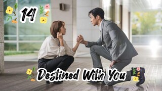 Destined With You(2023) epesode 14 [Eng Sub]